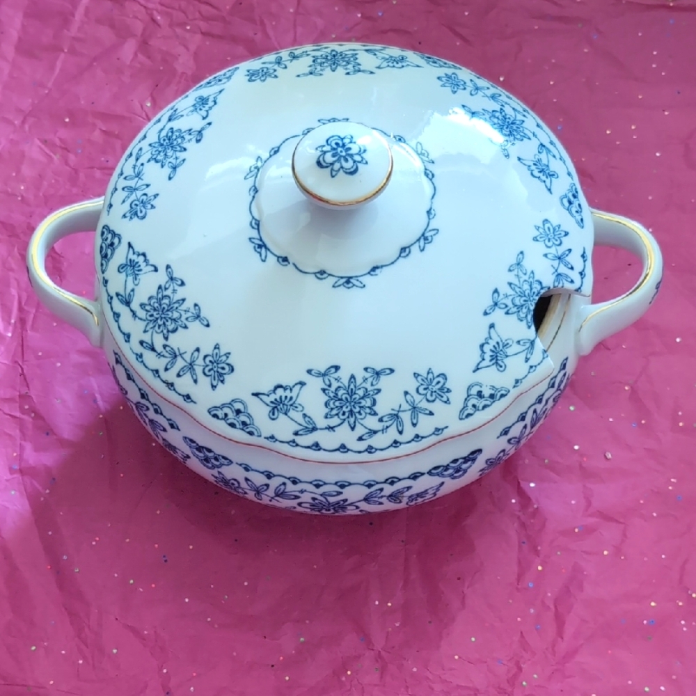 Vintage Floral Ceramic Soup Tureen